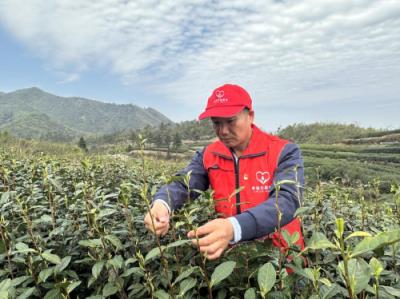 独家报道！国烟一手货源批发零售“不约而同”