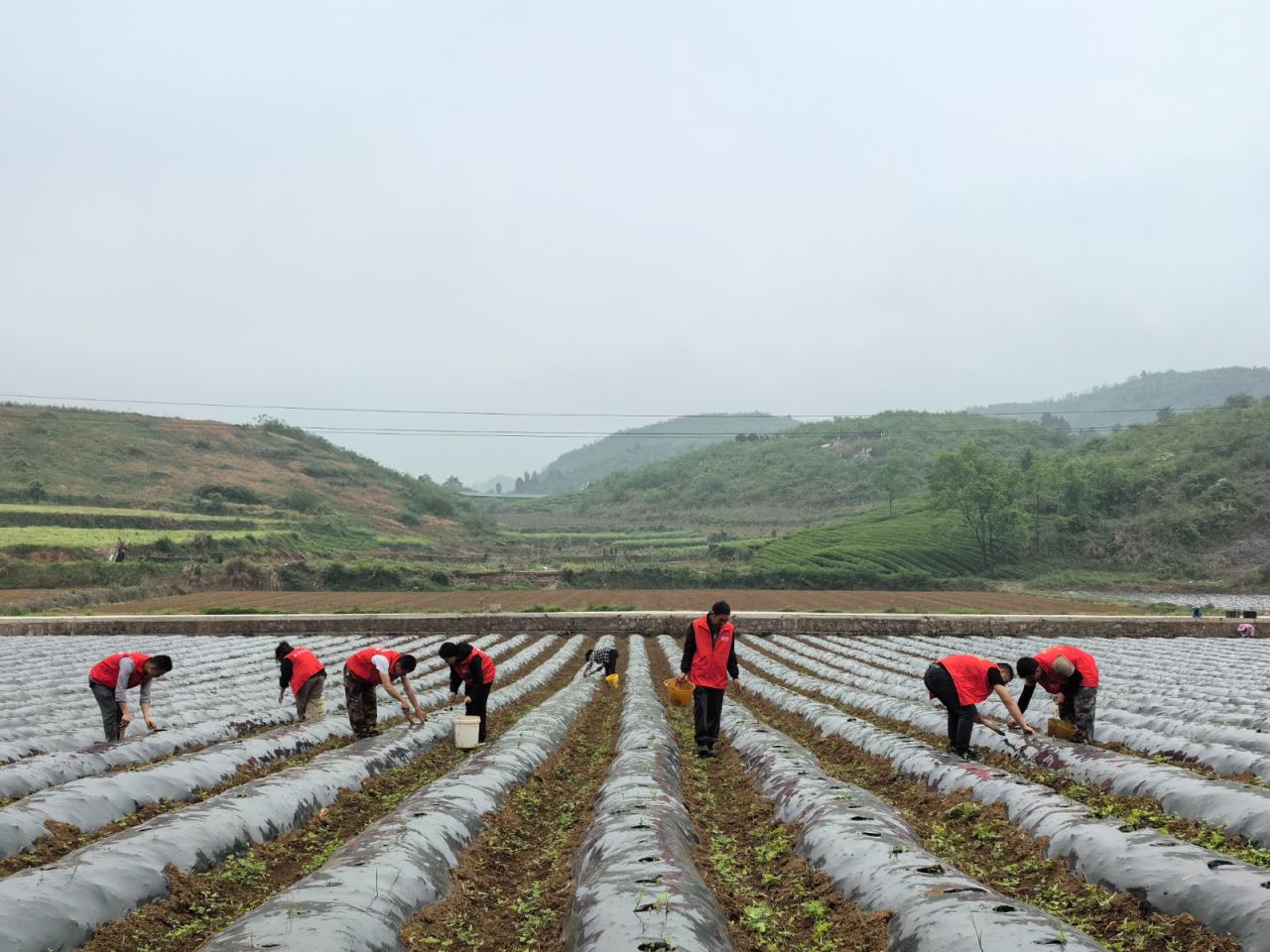 快讯热点！外烟渠道一手货源靠谱“挥汗如雨”