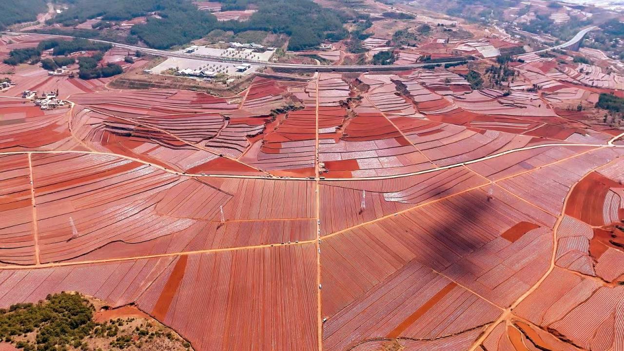 快评热点！福建云霄卷烟厂“绿水青山”