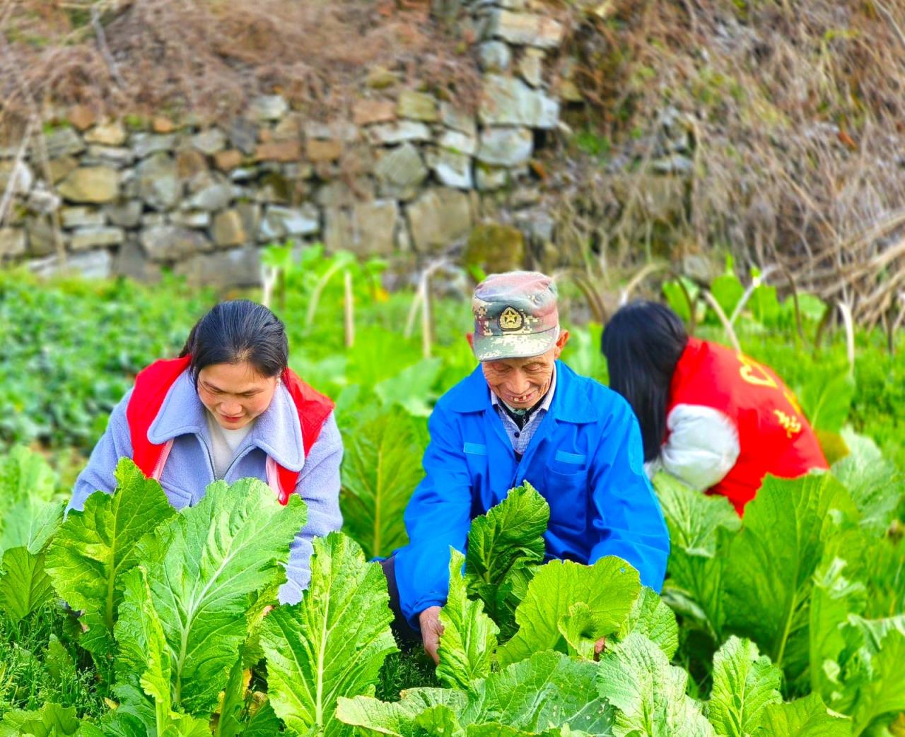 探索！茂大世家云霄烟的进货秘密