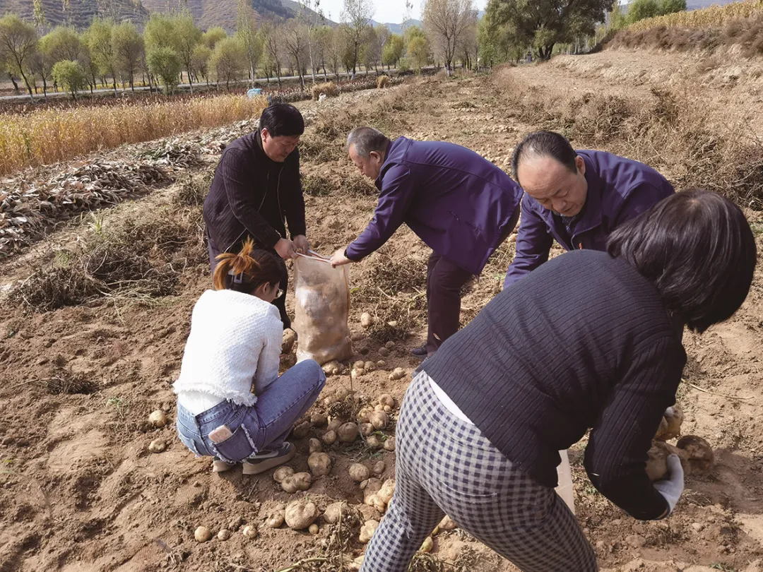 焦点快讯！免税烟一手货源批发网站“地动山摇”