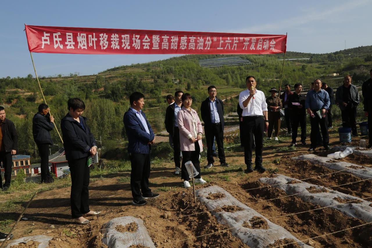 特稿！福建云霄香烟批发渠道“绝无仅有”