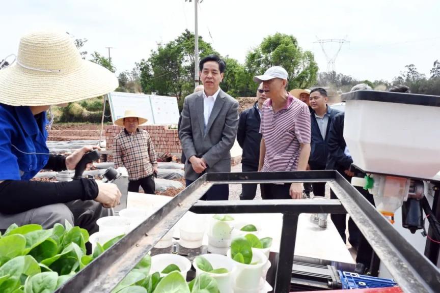 揭秘！古田红军灰批发渠道订货指南及操作手册