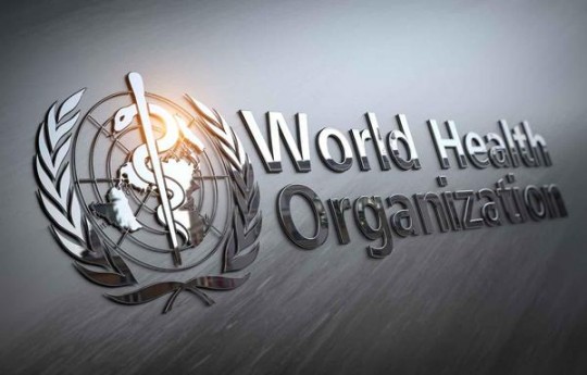 惊现！出口云南外烟一手货源“来之不易”