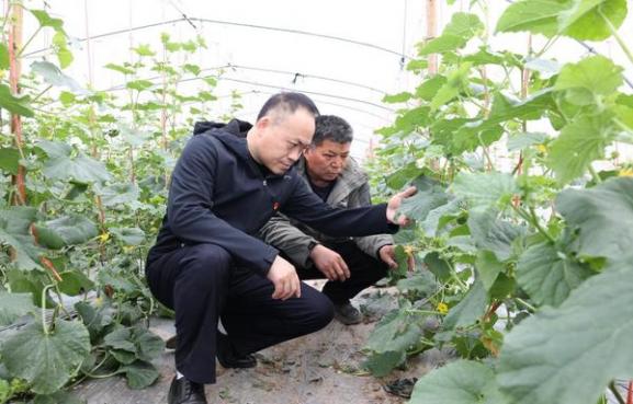 独家报道！冬虫夏草烟多少一条“涂脂抹粉”-府田香烟