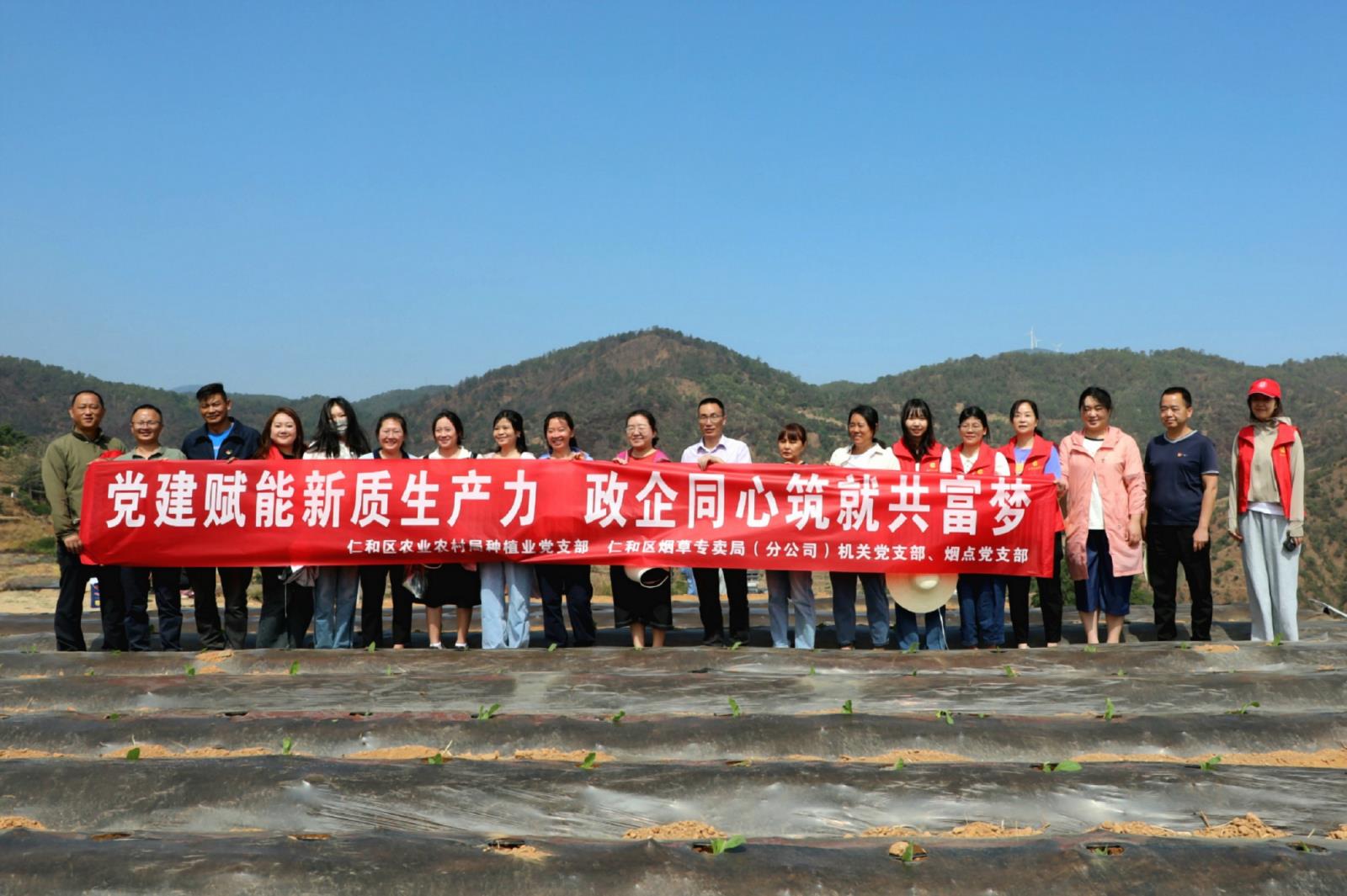 破天荒！天子五粮香“移山倒海”-府田香烟