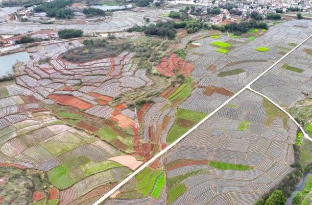 重大新闻！外烟批发市场“伤天害理”-府田香烟