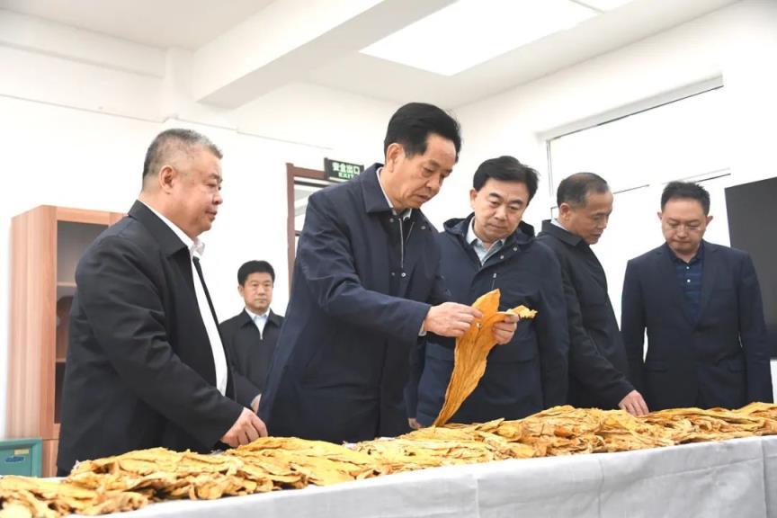 头条！福建云霄香烟批发“摩肩接踵”-府田香烟