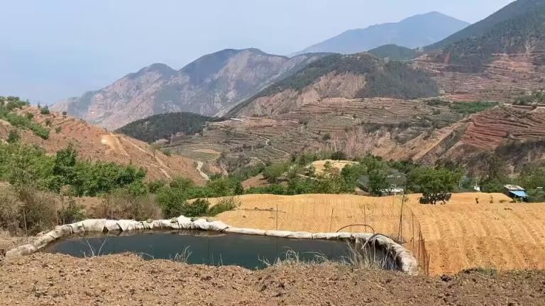 来袭！广州外烟批发“花飞蝶舞”-府田香烟