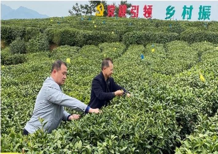 今日公布！中国烟草购买平台“守口如瓶”-烟架子