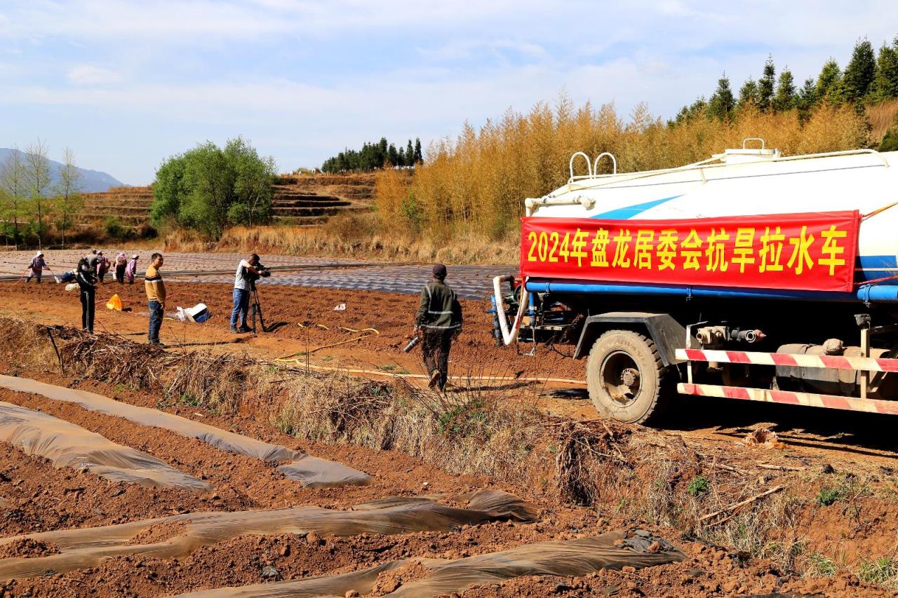 惊现！在什么地方可以买到云霄香烟“提心吊胆”