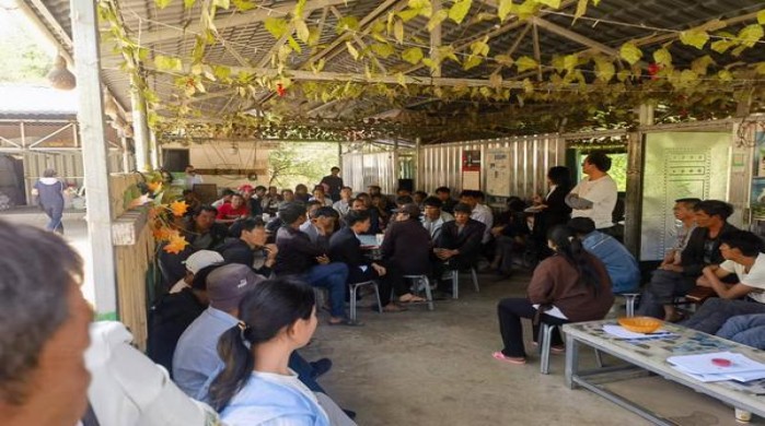 最新头条！免税香烟批发违法吗“劈头盖脸”