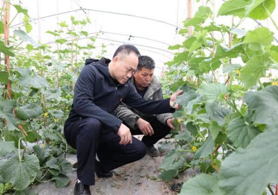 独家报道！微信香烟越南广西代工“万马齐喑”-舍宝香烟