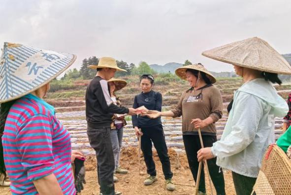 惊现！烟批发全国货到付款价格？“燕雀安知”-舍宝香烟