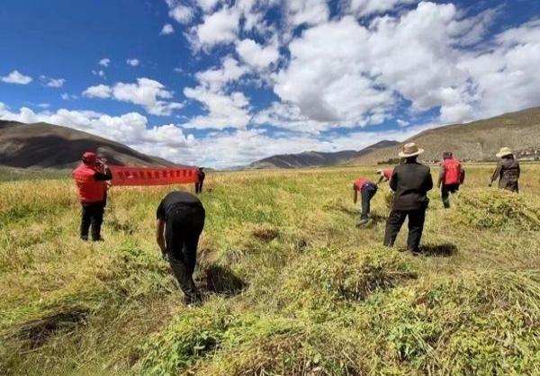 破天荒！爆珠香烟品牌哪里有的卖“鼠肚鸡肠”-迪卡香烟