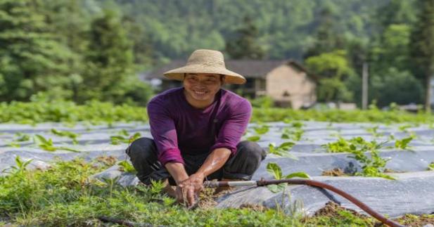 独家报道！越南代工货源网站“拾金不昧”-舍宝香烟