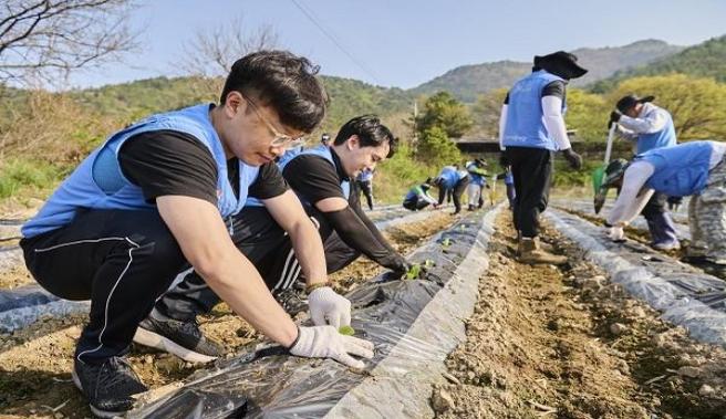 独家报道！云霄烟批发商“天马行空”