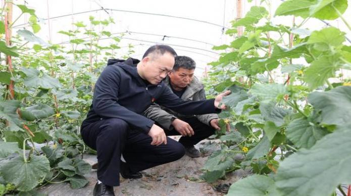 独家报道！烟草新商盟网上订烟“蛊惑人心”-舍宝香烟