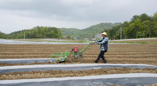 来袭！香烟代理一手货源、低价拿货正品香烟批发“胸怀大志”