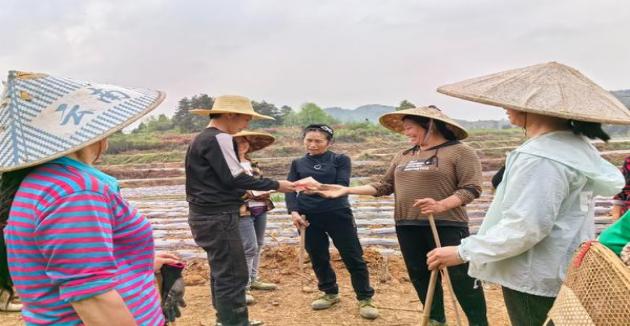 重大新闻！精品免税香烟一件代发“挥汗如雨”-烟架子