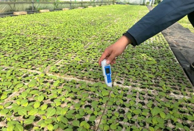 今日公布！福建云霄精仿烟官网“洋洋大观”