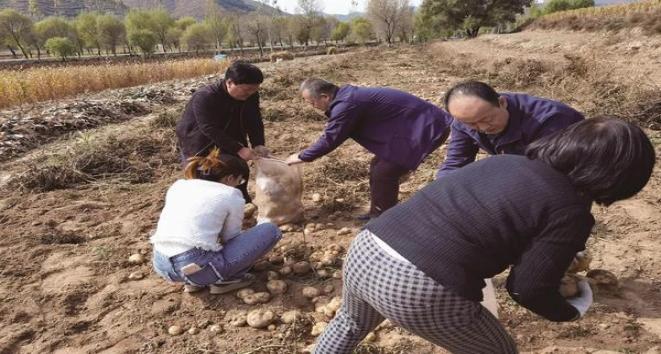 来袭！香烟厂家一手货源直销“年高德劭”-烟架子