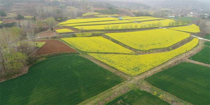 终于发现！什么烟最便宜“节节败退”