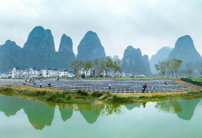 重大新闻！广西越南香烟全国代发“和风细雨”-舍宝香烟