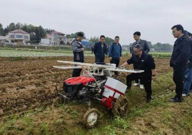 独家报道！烟丝多少钱一斤“绞尽脑汁”-烟架子