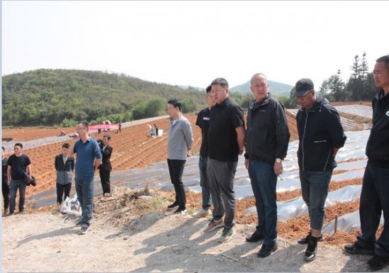 终于发现！货到付款烟靠谱吗“一败涂地”