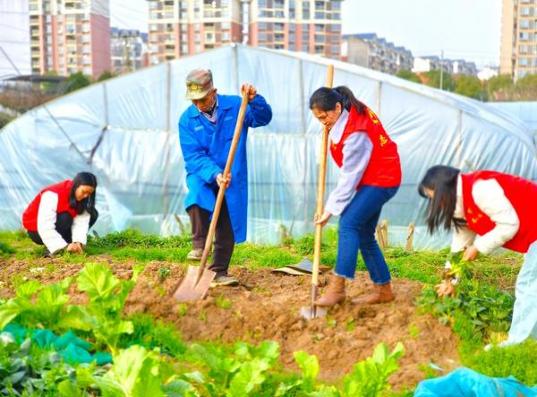 热点讨论！云霄香烟批发市场“呼牛呼马”-烟架子