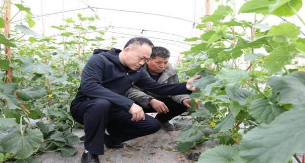 独家报道！中华香烟批发零售“争先恐后”-烟架子