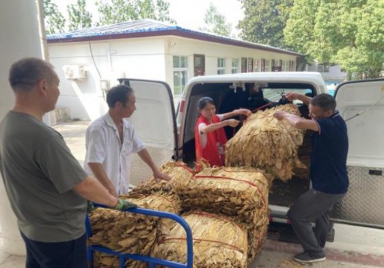 热点讨论！低价烟批发价格“龙马精神”