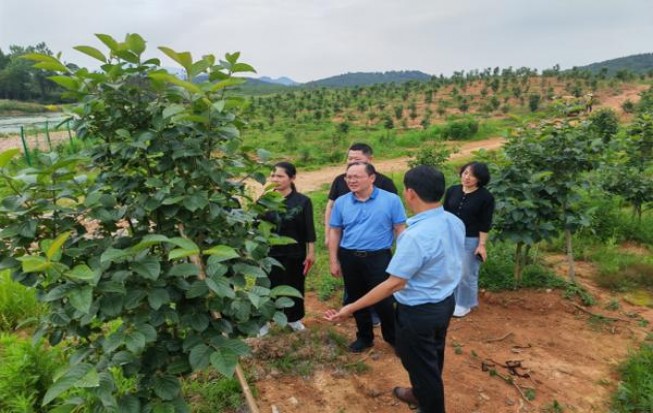 探索！红河软88香烟的进货之道