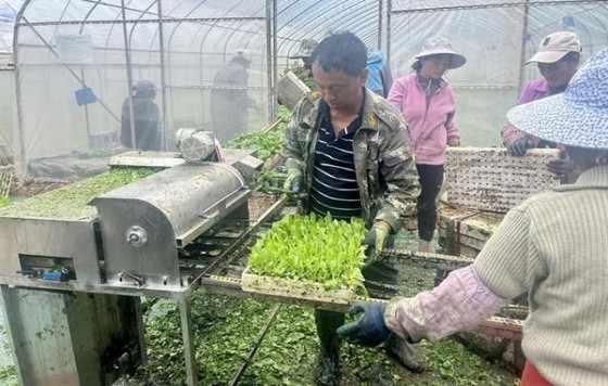 重大新闻！香烟批发零售一手货源“大显神通”