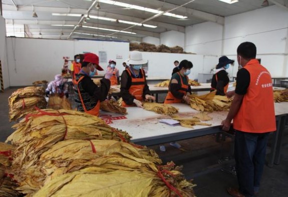 玉溪壹零捌新版批发价格是多少？玉溪壹零捌新版价格表一览 