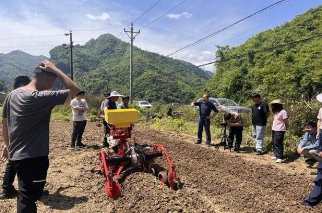 深入解析！好猫金延安香烟的进货之道