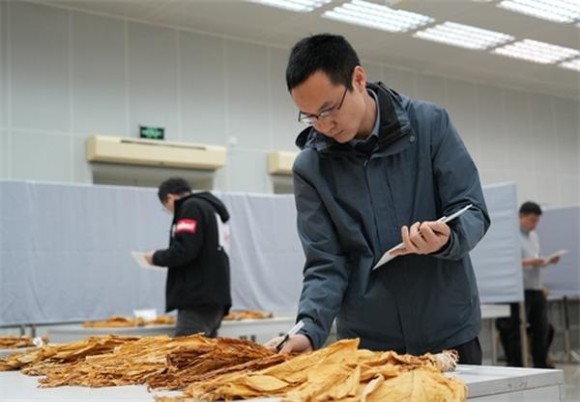 黄金叶天地人细支多少钱一盒？黄金叶天地人细支多少钱一盒2024？