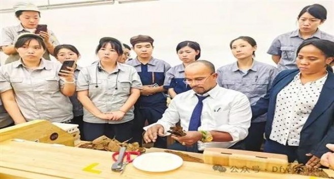 独家报道！免税香烟厂家直销品牌齐全“转战南北”