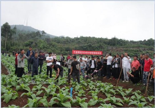 热点讨论！微信香烟一手货源批发.一条包邮“精神百倍”