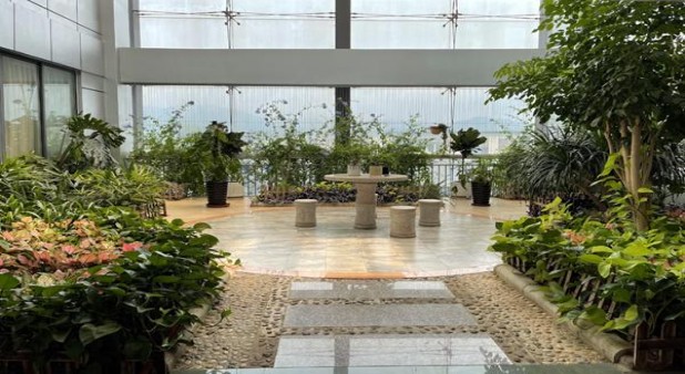 王冠(假日阳光)批发价格，王冠(假日阳光)什么价格？