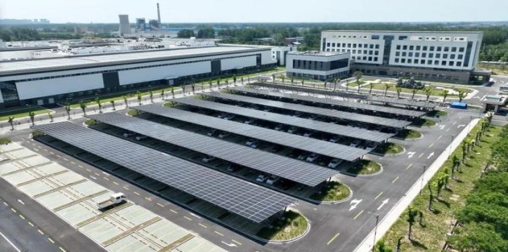 新港美税软绿多少钱一包？新港美税软绿价钱批发 