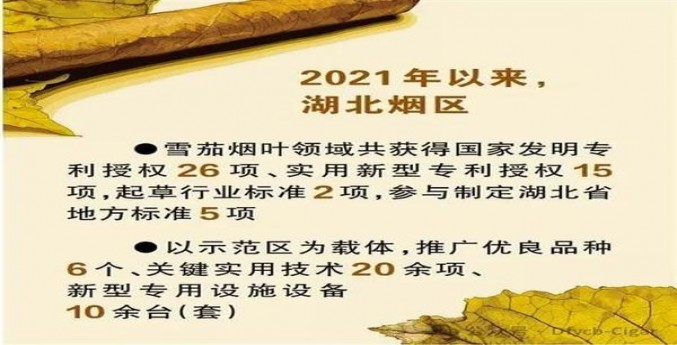重点通报！正品烟全国货到付款“程门立雪”