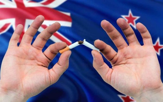 细探！娇子新硬龙凤经典云霄烟批发真相