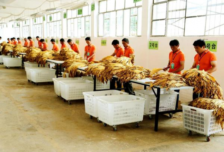 惊现！爱喜纯竹哪里可以买到“鹏程万里”