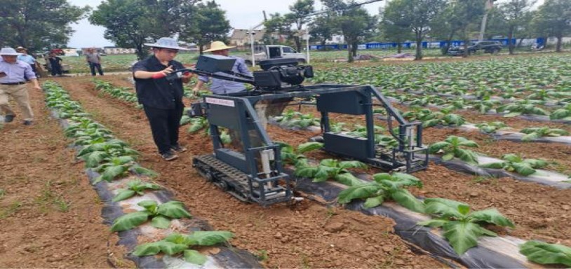 重大新闻！云霄香烟批发货到付款包邮“不可多得”