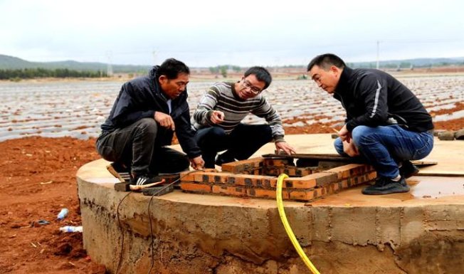 雪莲(软蓝)总仓批发，雪莲(软蓝)什么价格？