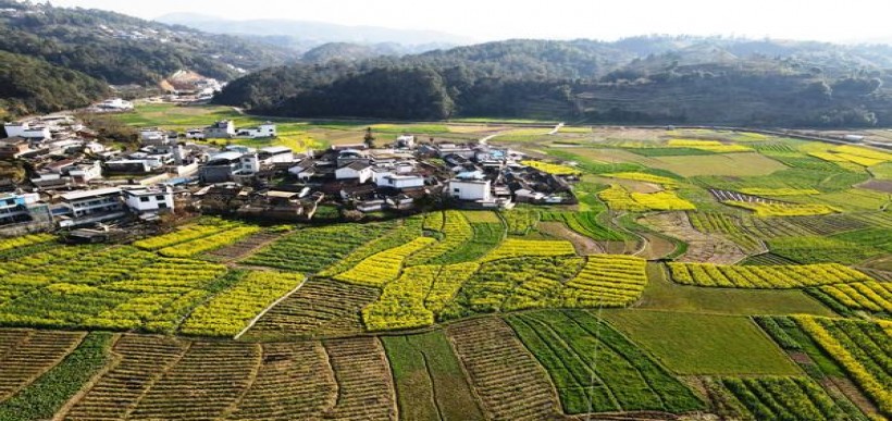 内幕！云霄口粮一览表2023“人山人海”