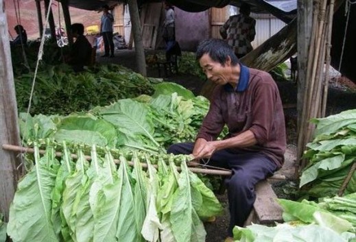 万宝路硬红荷兰免税版多少钱一包？万宝路硬红荷兰免税版多少钱一包2024？