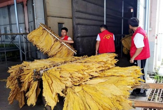 热点讨论！正品专卖防伪验证“内外交困”